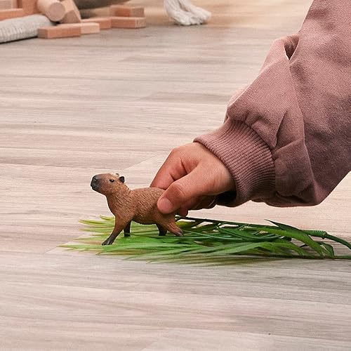 Amazon.co.jp: シュライヒ: シュライヒ新製品