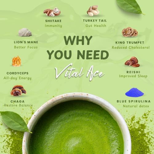 Polvo matcha con 7 hongos adaptogénicos orgánicos 30 porciones miniatura 4