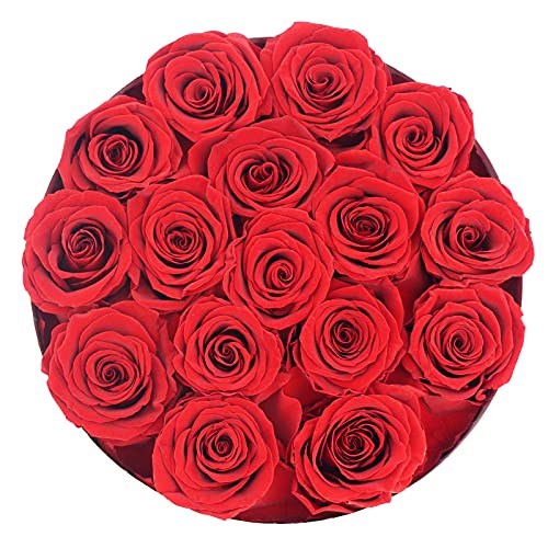 Sunia Eternal Real Rose, Rose Gift for Her 16 Real Rose in Box Handmade Rose Eternal Long Lasting Rose for Mother Wife Valentine's Day Christmas Mother's Day Girlfriend Birthday Gift (Red)