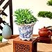 Toddmomy Blue and White Planter: Succulent Pots Ceramic Flower Pot Chinese Style Porcelain Planter Container for Office Desk Balcony Outdoor Garden