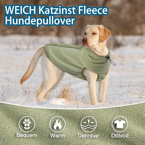 Katzinst Wintermantel Hund - Fleece Hundepullover Mittelgroße Hunde mit Leinenloch | Leichter Hundemantel mit Kapuze, Mantel für Hunde Winter, Französische Bulldogge, Grün (M)