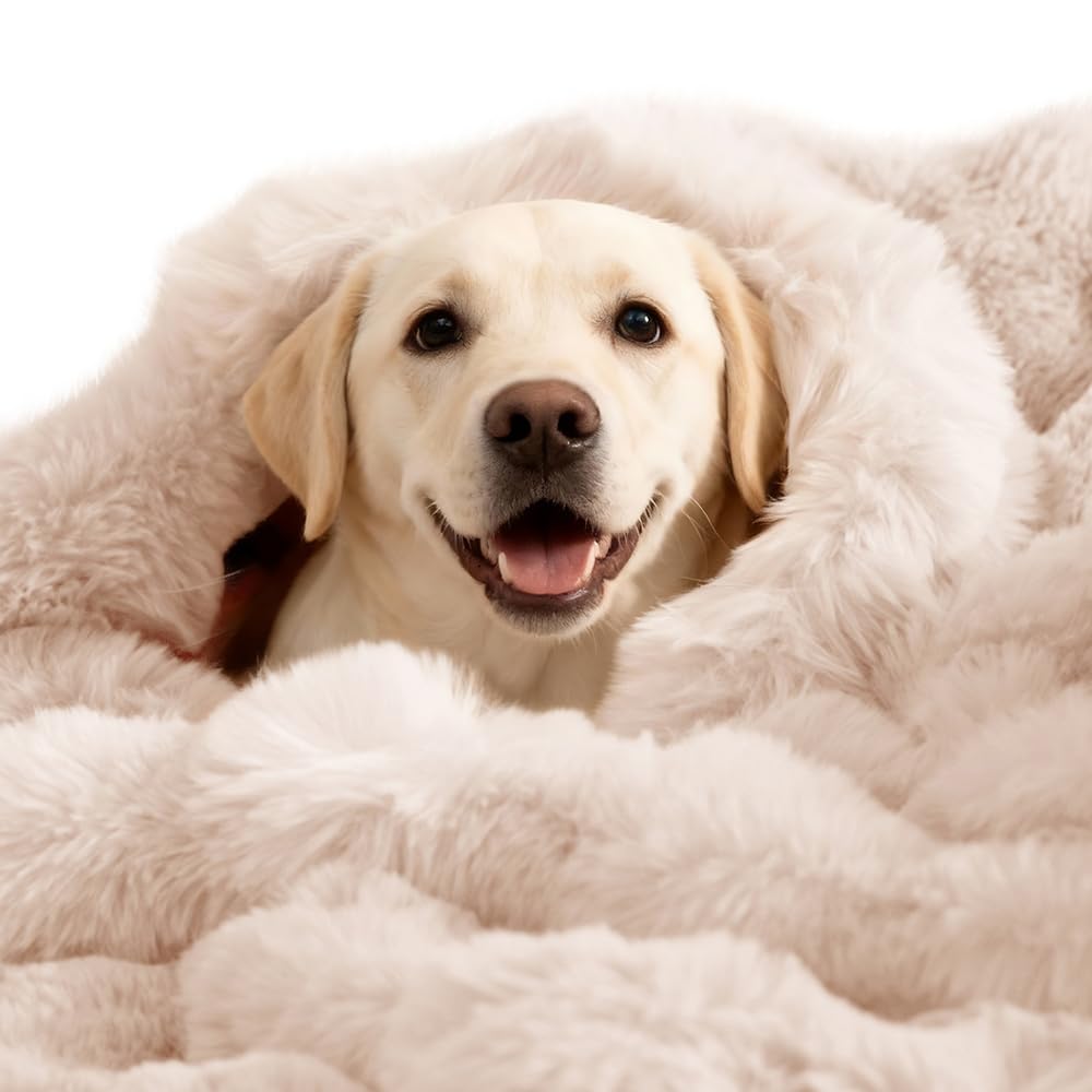 Dog Blanket Ultra Soft Fuzzy Faux Fur Cat Blankets for Indoor Cats Ultra Soft Plush Faux Fur Machine Washable Reversible Pet Throw Protector for Couch Furniture 39"X 30" White
