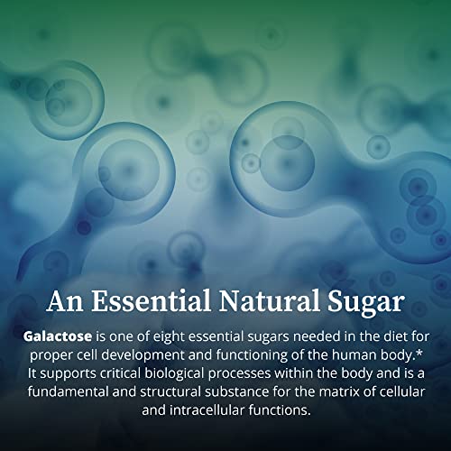 Biopure Galactose – Essential Natural Sugar Monosaccharide Dietary Supplement To Support Critical Biological Processes, Proper Cell Development, Energy Production, Immunity & Kidney Health – 200G #TOP4