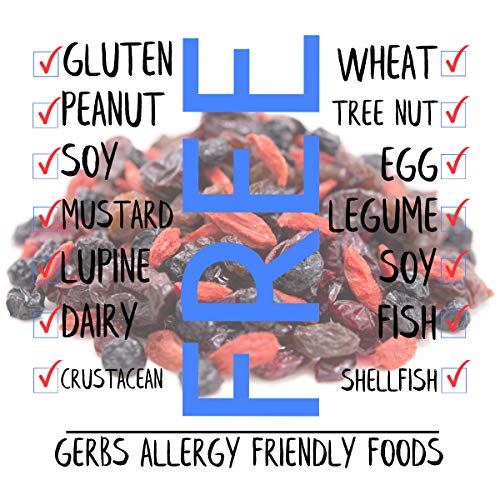 image for GERBS Super 5 Dried Fruit Snack Mix 14 Oz. Premium | Top 14 Food Aller