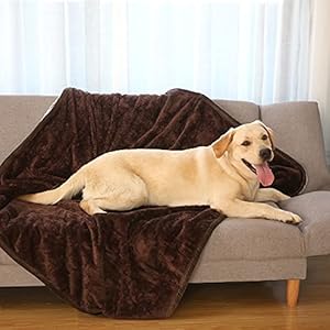 GutView Deken voor honden, waterdicht, voor huisdieren, beschermt bank, pipi, omkeerbaar, zacht, luxueus, wasbaar (150 x 130 cm)