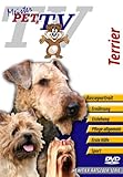  Terrier (Airedale, Cairn, Yorkshire) [Alemania] [DVD]
