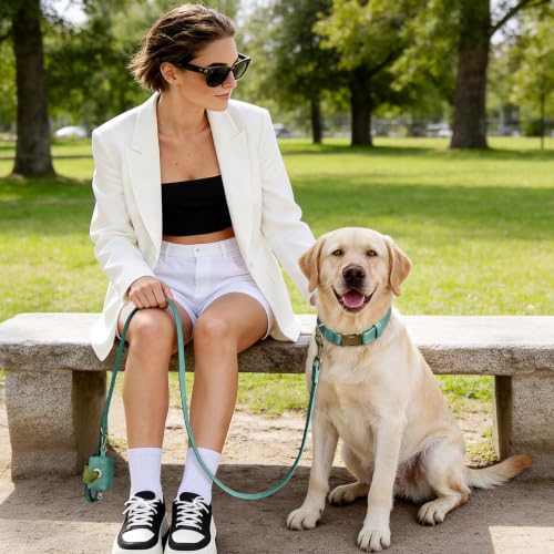 Image of Didog Soft PU Leather Dog Collar for Large Dogs, Quick Release, Green L