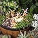 PRETMANNS Fairies for Fairy Garden, with Adorable Miniature Animals – a Cute Accessories Fairy Kit for Outdoor – 5 Piece Figurine Collection