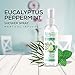 Eucalyptus Peppermint Shower Spray, All Natural Essential Oil for Spa, Steam Room, Linens and Baths, Cool and Refreshing