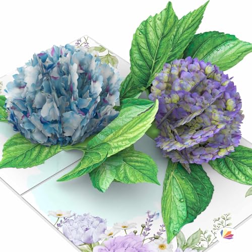 LIMAH® 3D Pop Up Karte Hortensie – Blumen Glückwunschkarte mit Umschlag – Geburtstagskarte für Frauen, Muttertag Karte, Hochzeitskarte, Dankeskarte, Genesungskarte – Edle Grußkarte