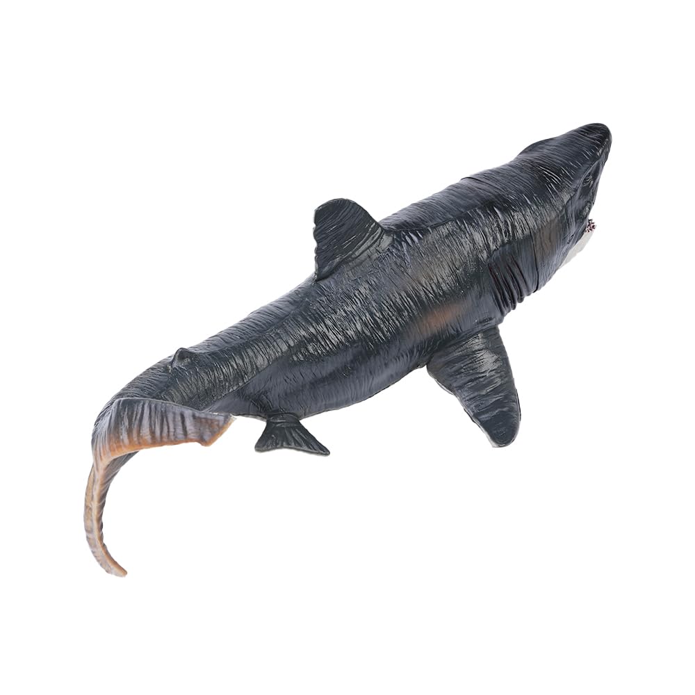Sarini Large Shark Model Megalodon Statue Realistic Shark Model 27cm Simulation Prehistoric Marine Animal Model - Image 3