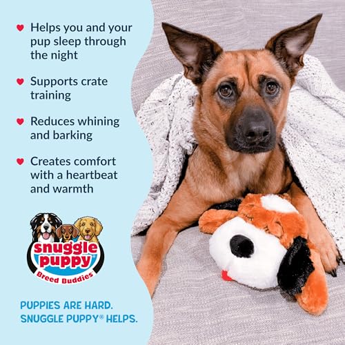 Image of Snuggle Puppy Heartbeat Dog Toy for Puppies, Real-Feel Heartbeat, Calming Sleep Aid and Crate Training Comfort Toy with Heat Pack, Brown & White Beagle | Calming heartbeat toy, crate training comfort, heat pack, new puppy essentials, first nights, sleep, medium breeds 25-70 lbs