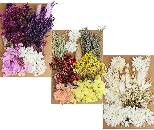 131pcs DIY Dried Flowers Daisies Leaves, Hydrangeas, Multiple Natural Pressed Flowers Colorful Decorative Dried Flowers for DIY Craft (Color 1)