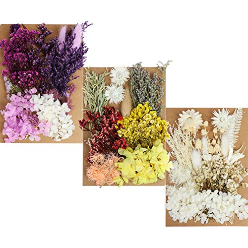 Flores secas decorativas variadas 131 piezas para manualidades miniatura 1
