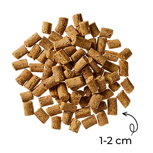 Globe Buddy Snack Veggie