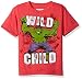 Marvel Little Boys' the Incredible Hulk T-Shirt