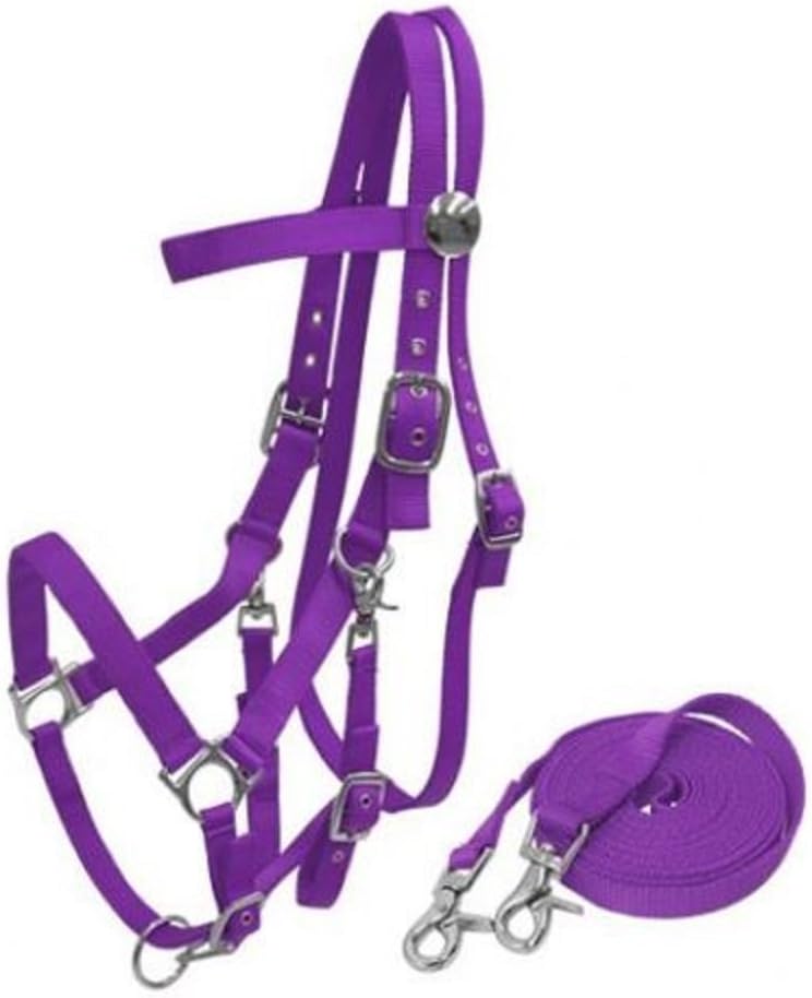 Heavy Duty Soft Nylon Horse Size Halter Browband Bridle Combo Trigger Snaps Cheeks & Reins (Purple)