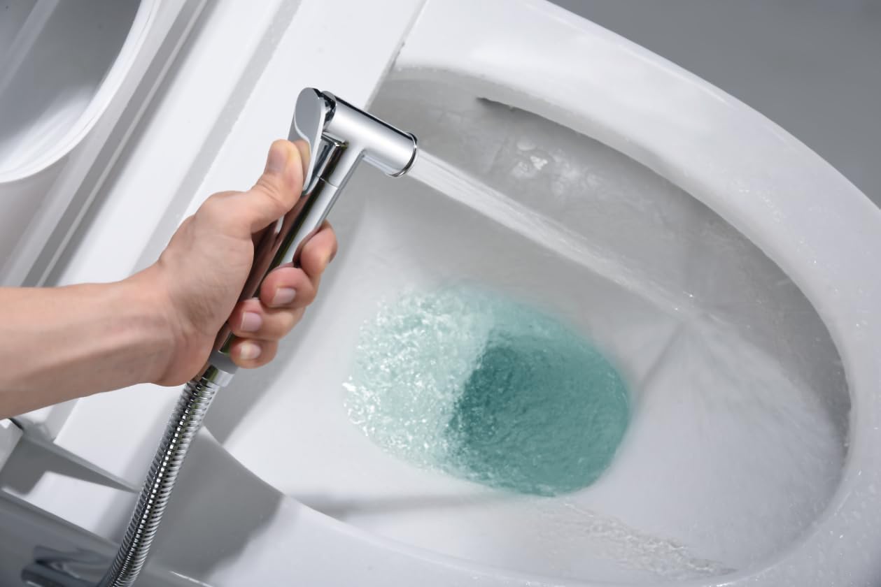 GAYLON IMEX - Grifería monomando empotrada para bidé hecha de latón -Ducha higiénica empotrada y monomando Grifo bidet empotrado Oro Cepillado RDG053/OC (PLATEADO)