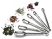 RSVP International RSVP International Endurance Stainless Steel Spice Measuring Spoon, Set of 6 (DILL), Silver