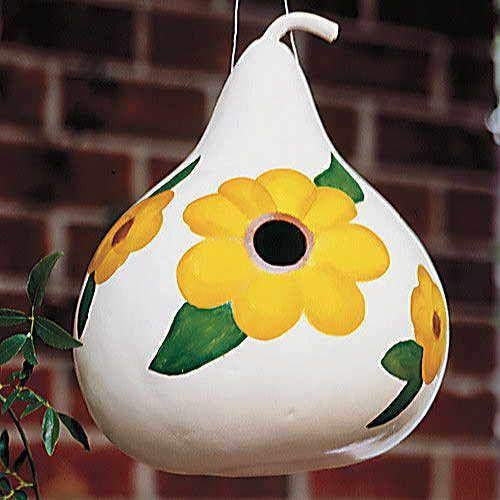 Park Seed Birdhouse Gourd Seeds, Pack Of 25 Seeds #TOP1
