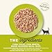 Applaws Natural Wet Cat Food, 24 Count, Limited Ingredient Canned Wet Cat Food, Tuna with Seaweed in Broth, 2.47oz Cans