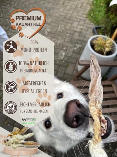 WEPO Kaninchenohren mit Fell für Hunde - 1kg getrocknete Kaninchen Ohren - Hasenohren für Hund & Katze - Rabbit Ears as Dog Treats (1kg-Vorteilspack)