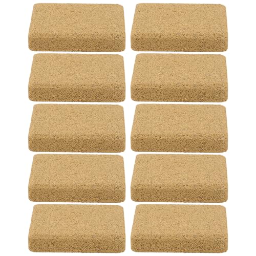 VALICLUD Plateau de Fixation Support Stable et Facile à Installer en Matériau Nanométrique Lot de 10 Pièces pour Plantes Coralliennes pour Aquarium Adapté aux Coraux Vivants