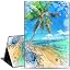 Palm Tree