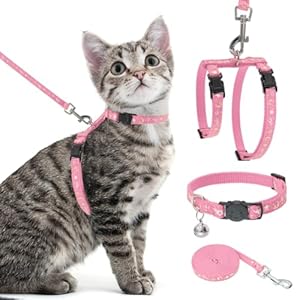 PAWCHIE Cat Harness with Leash and Collar Set – Escape Proof Adjustable H-shped Cat Harness with Star and Moon Pattern Glow in The Dark for Kitty Outdoor Walking