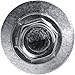 Stainless Steel Metal Roofing Screws (250) 9 x 2 NO Paint hex Head Sheet Metal Roofing Screw. Self-Piercing (SP) tip Metal to Wood siding Screws EPDM Washer