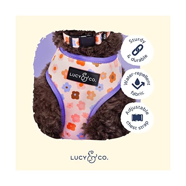 Lucy & Co. Cute Reversible Dog Harness Walking Halter – Best Designer Pet Harnesses for XS – XL Dogs – Padded Adjustable Vest for Easy Walking (Medium, Purple with Coral Floral Wave) Lucy & Co. Cute Reversible Dog Harness Walking Halter – Best Designer Pet Harnesses for XS – XL Dogs – Padded Adjustable Vest for Easy Walking (Medium, Purple with Coral Floral Wave)