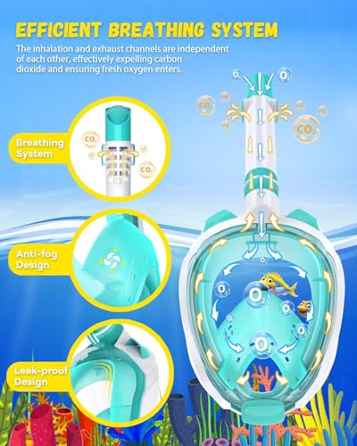 Image of Delavala Full Face Snorkeling Mask Diving Gear - Dry Top System,180 Degree Panoramic View Snorkeling Mask with Camera Mount,Safe Breathing,Anti-Leak Anti-Fog-Swim Fins (Green- Large /X-Large)