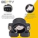 OCPTY Throttle Position Sensor Throttle Sensor 22620-4M500 226204M501 977-007 Fit for Pathfinder Sentra Altima Maxima Pathfinder Sentra, for Infiniti G20 I35 QX4 1997-2005 1.8L-3.5L l4 V6