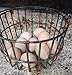 Handmade Metal Egg Basket for Storage – Available in Small, Medium, Large, and XL – Rustic Design for Kitchen, Pantry, or Farmhouse Decor (M)