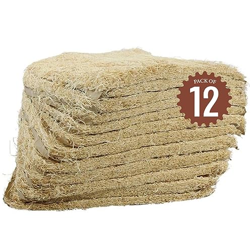 Best Aspen Shavings For Birds Provide A Cozy And Safe Nesting