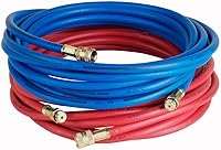 Robinair 64240 Enviro-Guard R-134a Hose Set, 20ft Blue/Red Low-Permeation Hoses, 500 PSI for AC Service