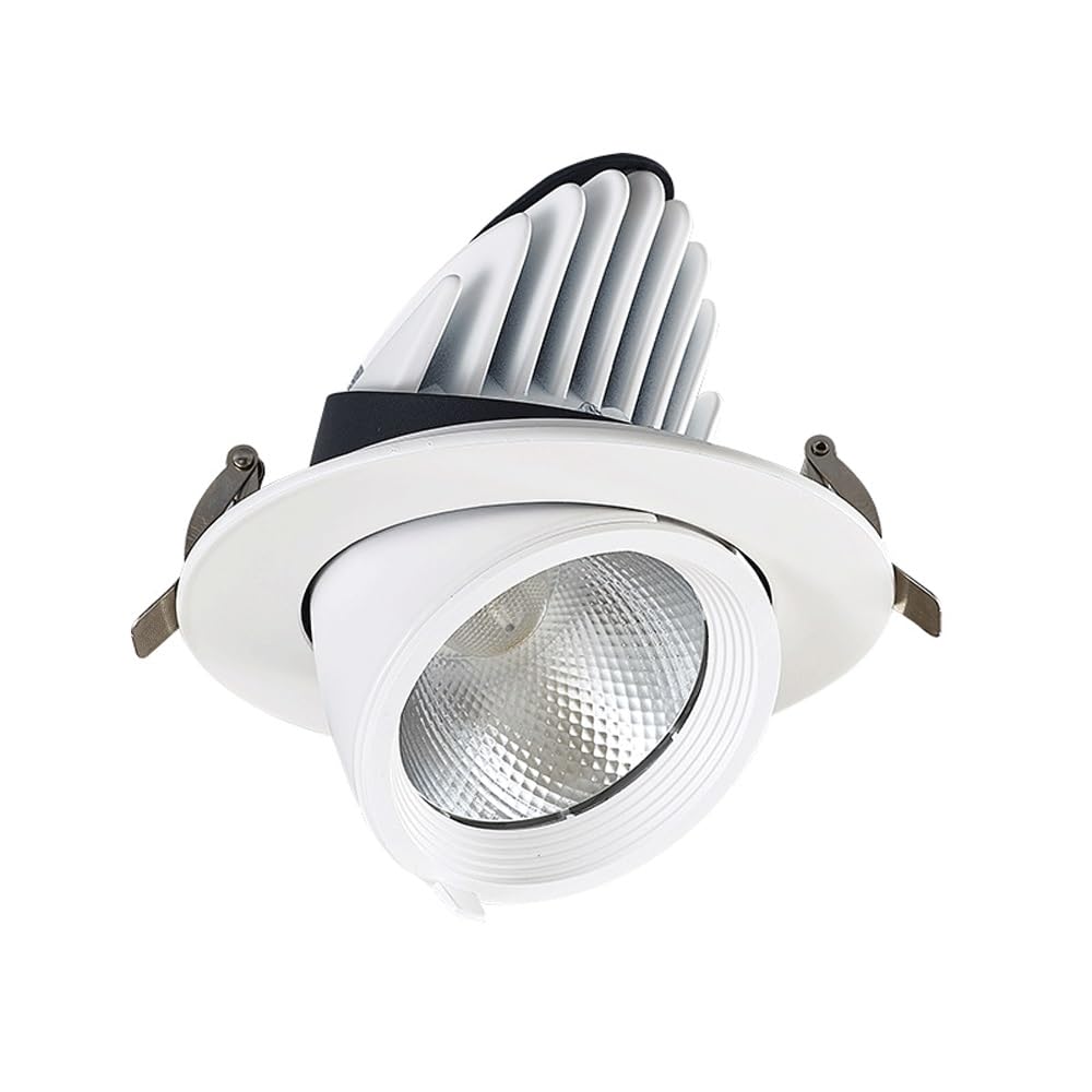 7/10/12/15/20/25/30W Spotlight Adjustable Angle Recessed Color Select (3000K/ 4000K/ 6000K) Ceiling Light for Indoor Daylight(10W,6000K White Light)