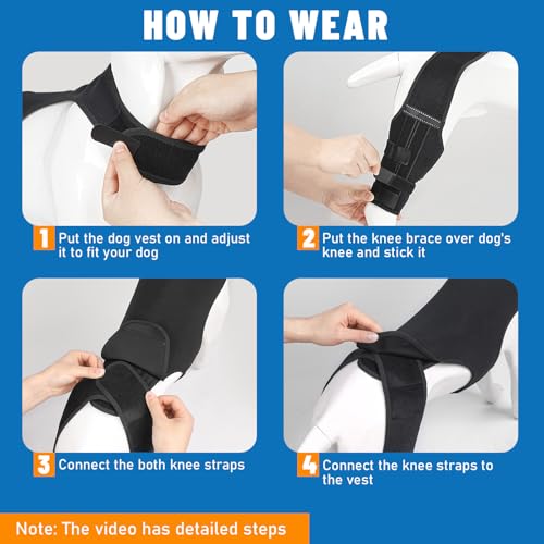 Image of Dog Knee Brace for Hind Legs- Adjustable Dog Leg Brace for Both Back Leg Helps with Torn ACL, Luxating Patella, Ligament Injuries & Arthritis, 3XL