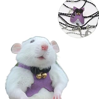 Barn Eleven Chipmunk Traction Rope Strap Anti-Biting Chain Rope, Adjustable Vest, Small Animal Walking Harness with Lead Leash for Hamster Gerbil Rat Mouse Ferret Chinchilla (Purple)