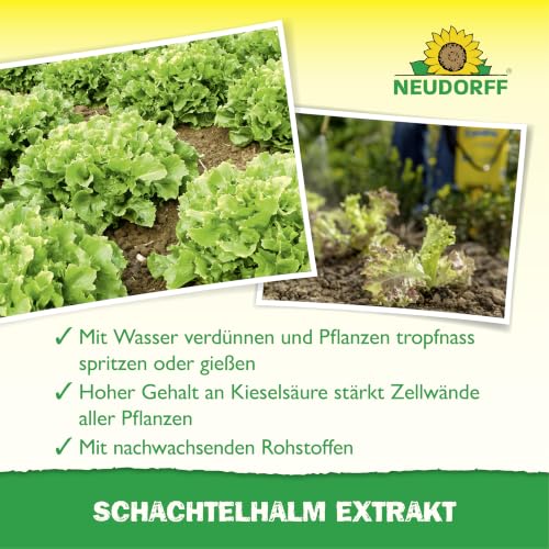 Neudorff Schachtelhalm Extrakt – Natürlicher Kräuterextrakt für kräftiges und gesundes Wachstum bei allen Pflanzenarten, 250 ml – Ansicht 4