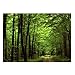 Deep In The Forest Thick Green Vegetation Tree Nature Mouse Pad Mat