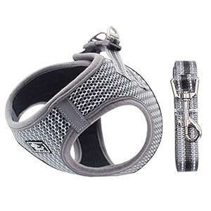 No Pull Dog Harness Small Dogs, Soft Mesh Reflective Breathable Step-In Dog Cat Harness and Lead Set for Puppy Cat Pet Vest with Leash Adjustable for Outdoor Walking, Training