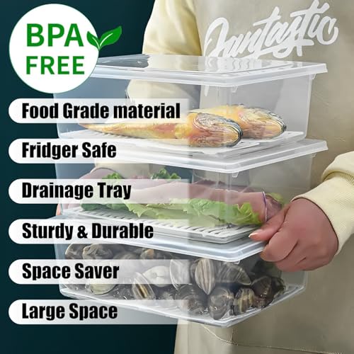 Image of JD FRESH 12 Piece Fridge Storage Containers /Organizer with Removable Drain Plate and Lid /Freezer containers /Vegetables Storage Box for Refrigerator /Fridge containers for Fruits /Meat /Fish (2500 ML)