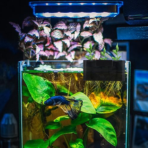 Bewudy Aquarium Plant Holder for Rimmed Tank Aquatic Plant Cup Aquarium Hanging Plant Holder - Image 3