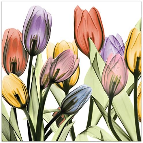 Empire Art Direct Frameless Free Floating Tempered Glass Panel Graphic Wall Art Ready to Hang, 24" x 24", Tulip Scape x-ray I