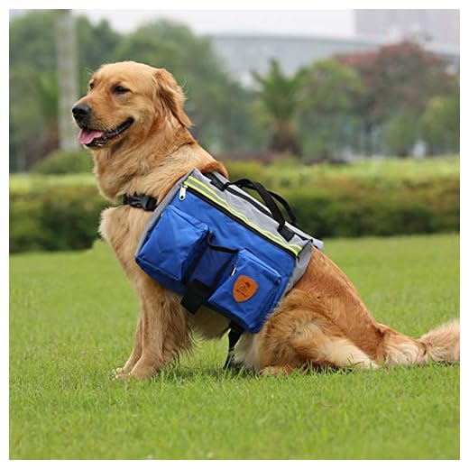 VICTORIE Mochila de Perros arnés Bolsa Sillín Portador Ajuste Exterior Viajar Entrenamiento Camping para Perro Mediano y Grande