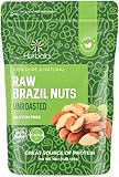Brazil Nuts Raw 16oz. Premium Brazilian Nuts, Raw Brazil Nuts Unsalted, Ideal for Snacking & Baking, Fresh and Crunchy, Brazil Nuts Bulk, Sustainably Harvested Shelled Brazil Nuts Whole 1LB