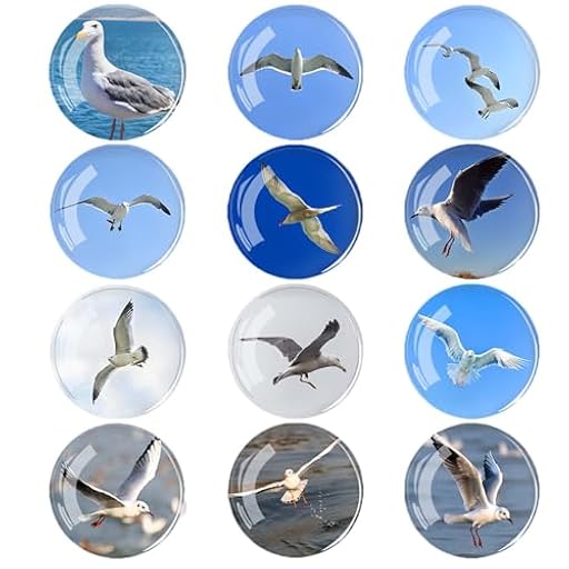 Diyxisk Imanes Nevera, 12 Piezas Imanes Personalizados Nevera, Diferentes Patrones Iman Nevera, Adecuado para Pizarras Magnéticas, FrigoríFicos, Aires Acondicionados, Lavadoras (Gaviota) | Ya disponible en tu tienda friki favorita! En mundofriki.es!