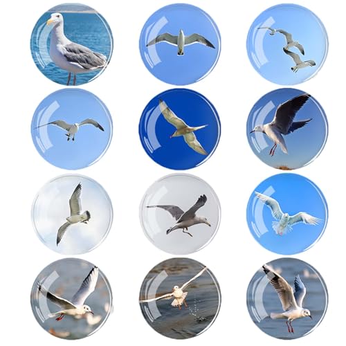 Diyxisk Imanes Nevera, 12 Piezas Imanes Personalizados Nevera,