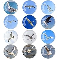 Diyxisk Imanes Nevera, 12 Piezas Imanes Personalizados Nevera,